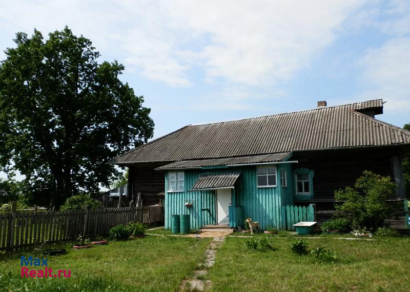 Кострома деревня Терениково, Любимский район