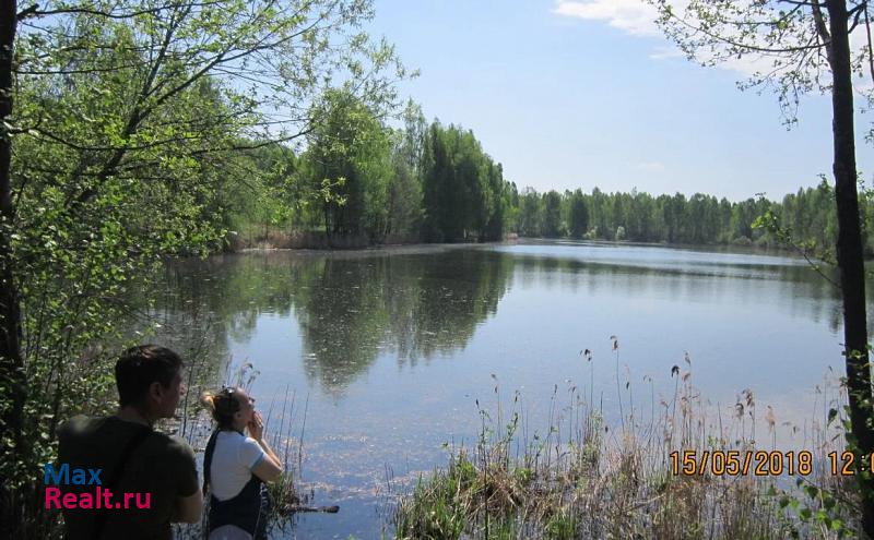 Бор поселок Чистое Борское, улица Ленина, 14