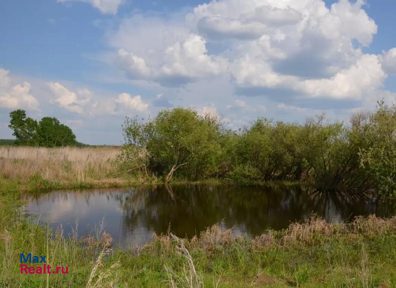 Ишим деревня Большеудалово, Зелёная улица