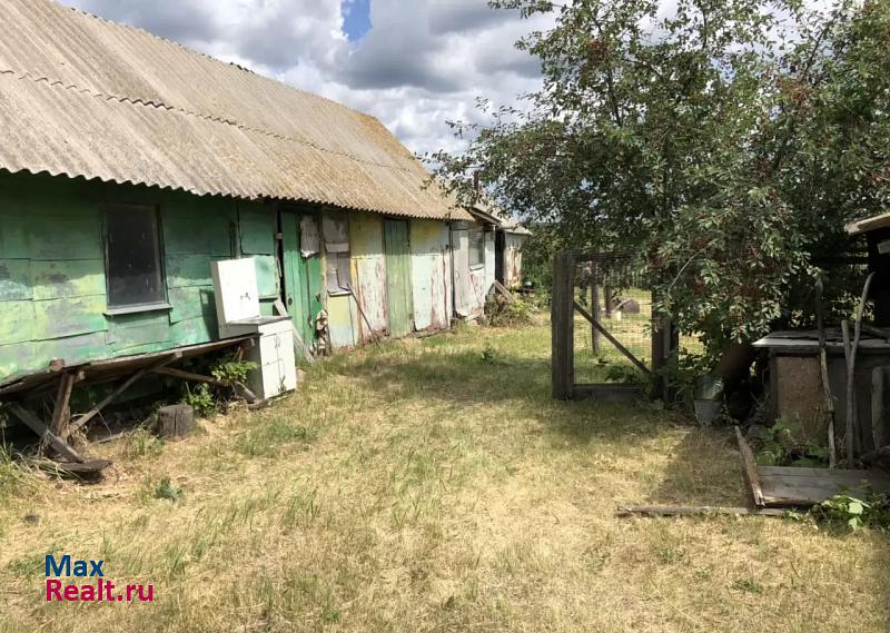 Балашов Репинское муниципальное образование, село Репное, Пионерская улица, 32