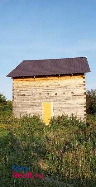 Копейск Красноармейский район, село Ханжино