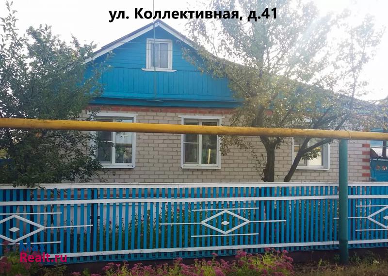 Мичуринск Коллективная улица, 41