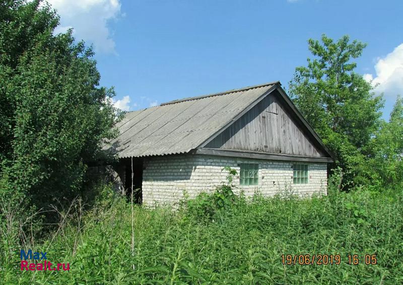 Мичуринск село Липовка, Молодёжная улица