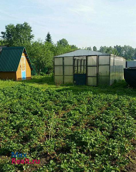 Прокопьевск Закладочный переулок, 16