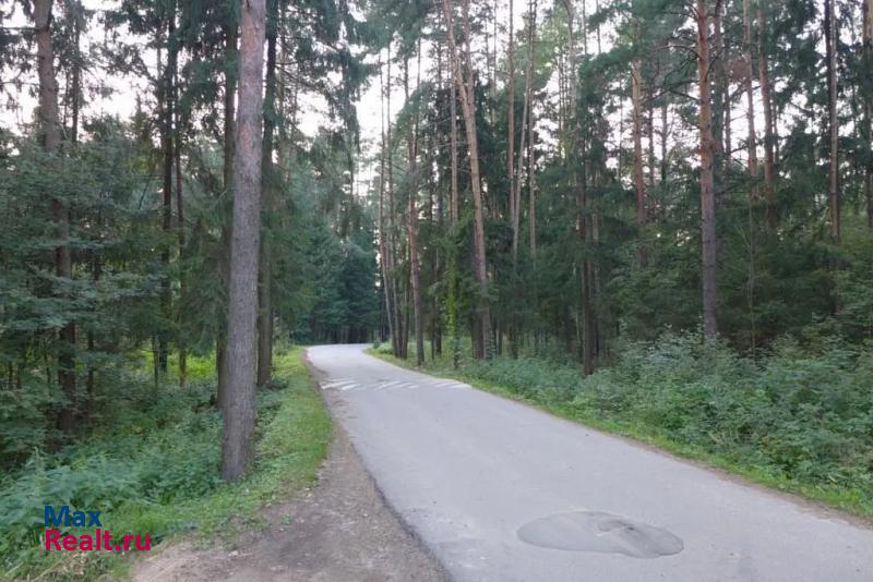 Ногинск Ногинский район, садовое товарищество Сосны