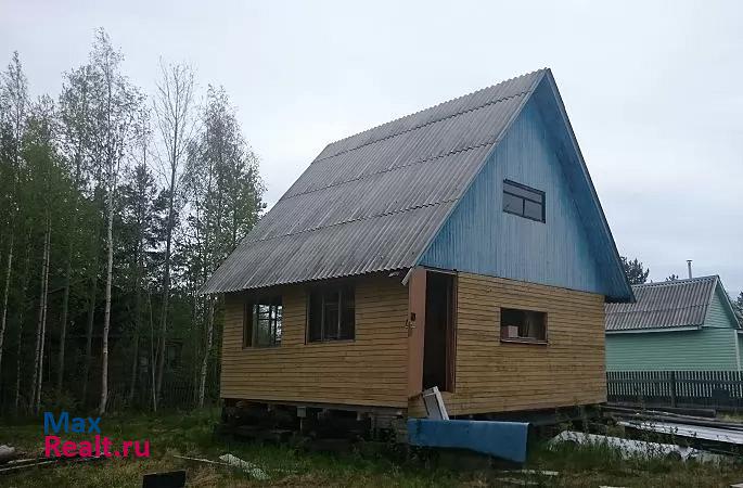 Архангельск муниципальное образование Талажское, садовое товарищество Геолог, 49