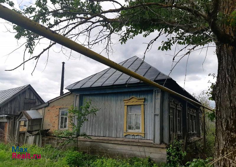 Саранск Больше Игнатово, село Киржеманы