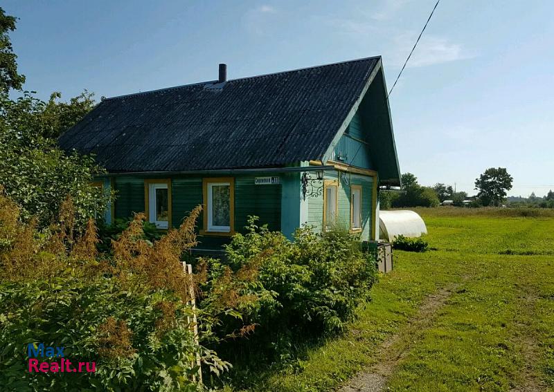 Псков деревня Тупы, Псковский район