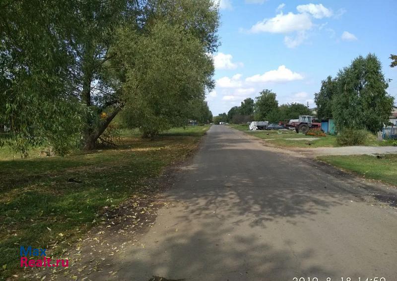 Городище село Малотроицкое