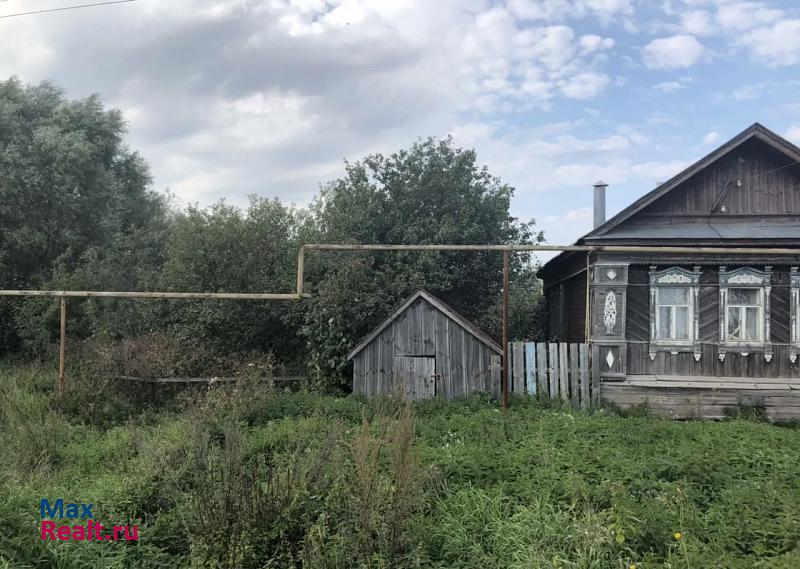 Выездное Арзамасский район, городское поселение Рабочий посёлок Выездное, село Васильев Враг, улица Чкалова