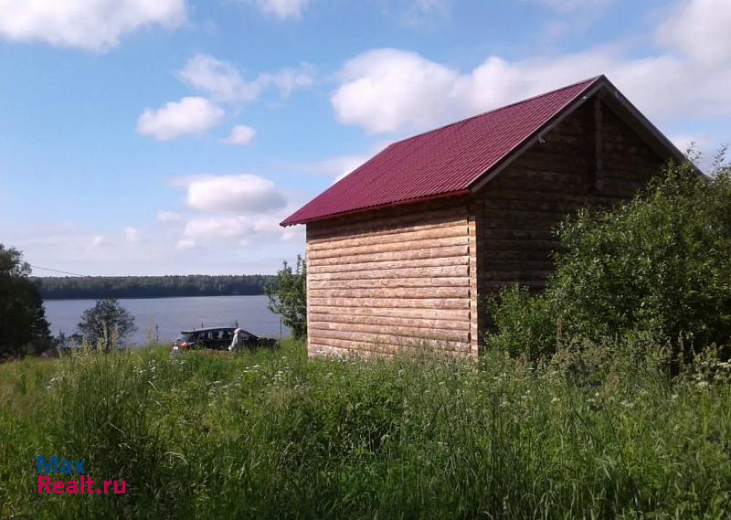 Усть-Луга деревня Савикино