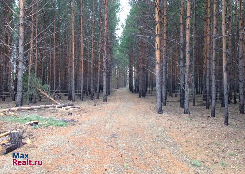 Петрокаменское Горноуральский городской округ, деревня Темно-Осинова, Зелёная улица