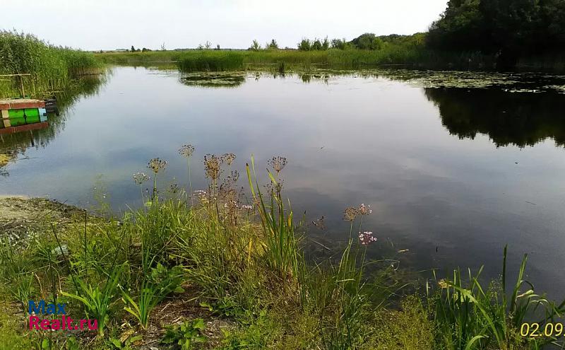 Садовое село Борщево