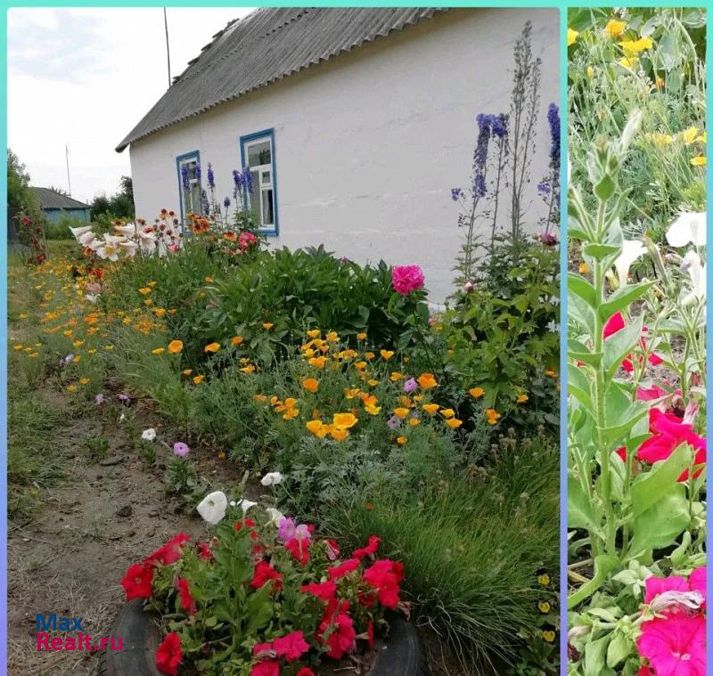 Роговатое село, городской округ Старооскольский, Луганка