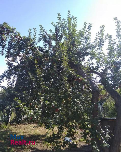 Курган садовое товарищество Зауралец, 108