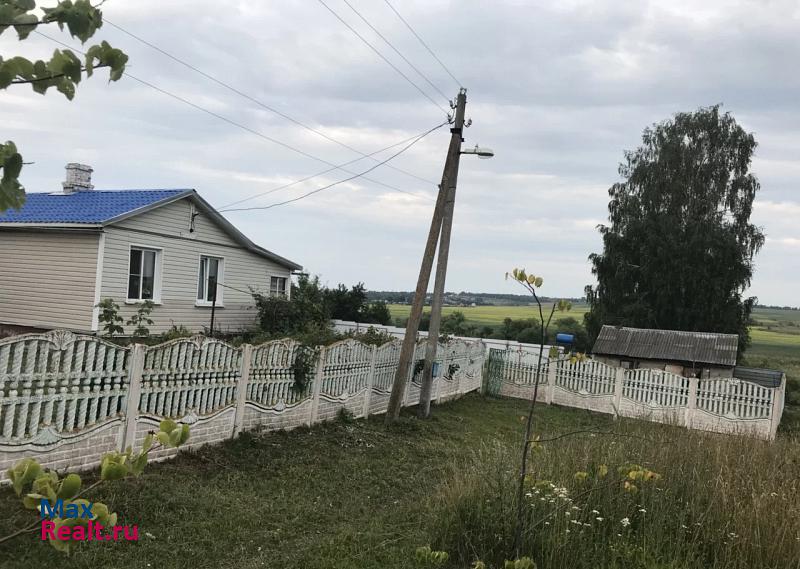 Зарайск городской округ Зарайск, село Чулки-Соколово частные дома