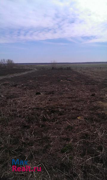 Сасово село Новое Берёзово, Центральная улица частные дома