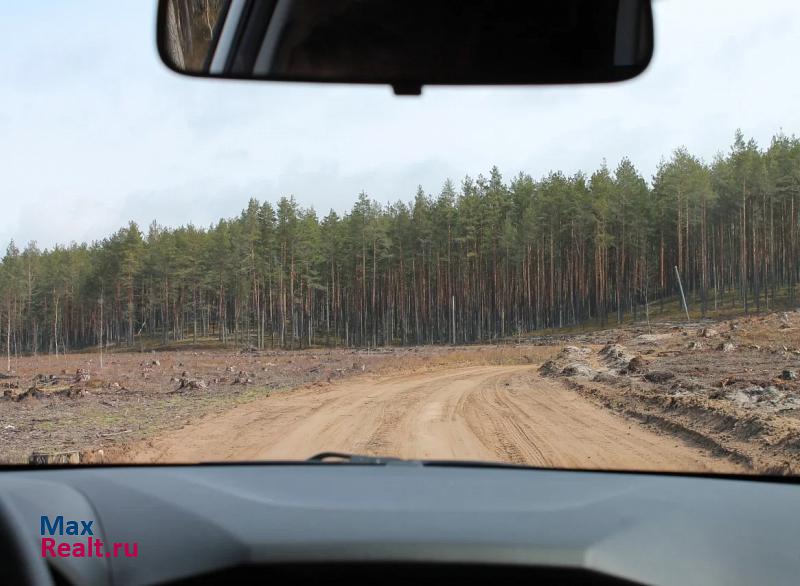 Середка деревня Подборовье