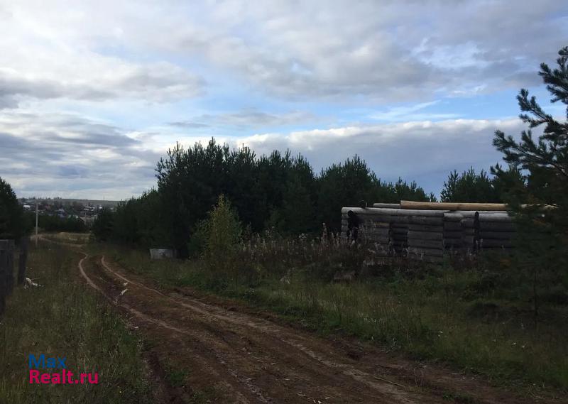 Фоки Чайковский городской округ, село Фоки