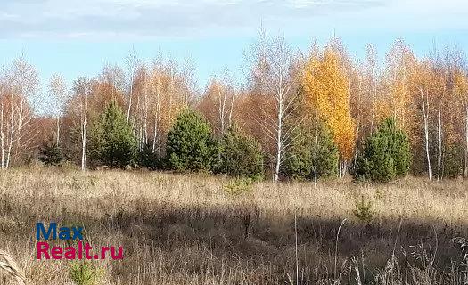 Мичуринск село Ранино частные дома