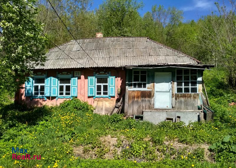 Тайжина поселок Тайжина, Осинниковский городской округ, улица Льва Толстого, 25