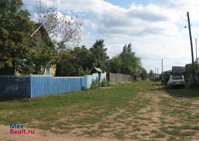 Сарапул Удмуртская Республика, село Октябрьский, Советская улица, 32 частные дома