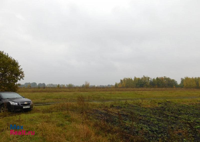 Елец Село Слепуха частные дома