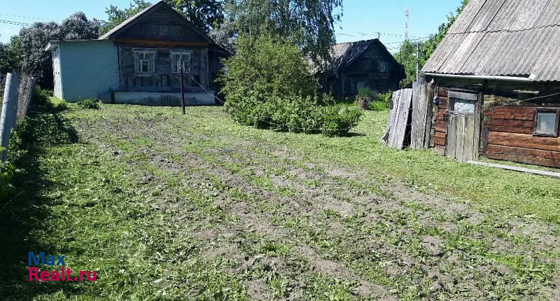 Воскресенск деревня Расловлево, Садовая улица частные дома