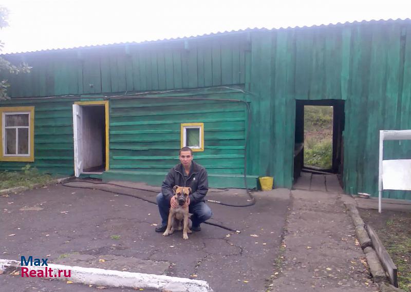 аренда домов Бийск село Песчаное, Камчатский переулок