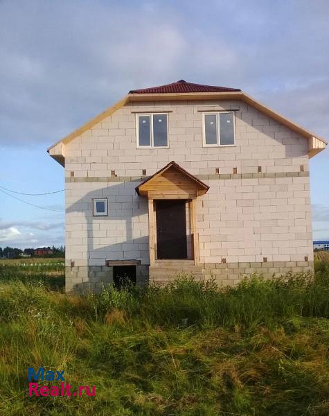 Великий Новгород Новгородский район, деревня Новая Мельница, Весёлая улица частные дома