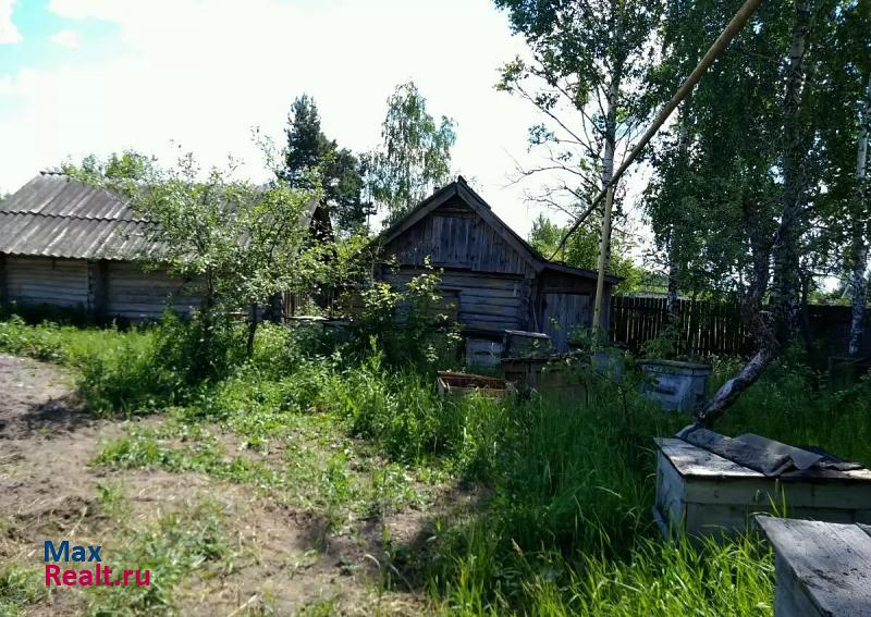 Саранск Мордовия.Ст-шайговский р-он.с.Богдановка.ул.Центральная 65 частные дома