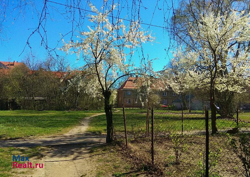 Краснодонский переулок, 8 Калининград купить квартиру