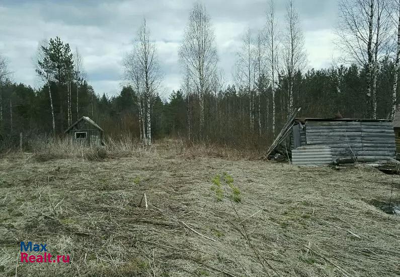 Петрозаводск Ладва-Веткинское сельское поселение, село Таржеполь, Нижняя деревня частные дома