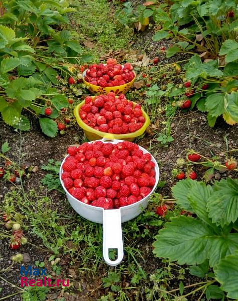 Мурманск сельское поселение Междуречье, село Минькино частные дома