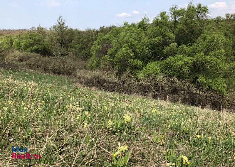 Курск Ноздрачевский сельсовет, село Виногробль частные дома