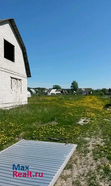 Брянск село Дарковичи, Молодёжный переулок, 8 частные дома