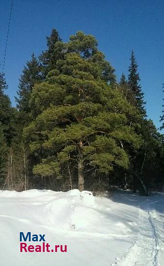 Томск С. Корнилово частные дома