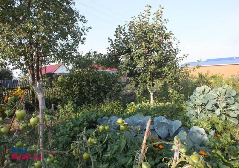 Омск село Звонарев Кут, Азовский немецкий национальный район