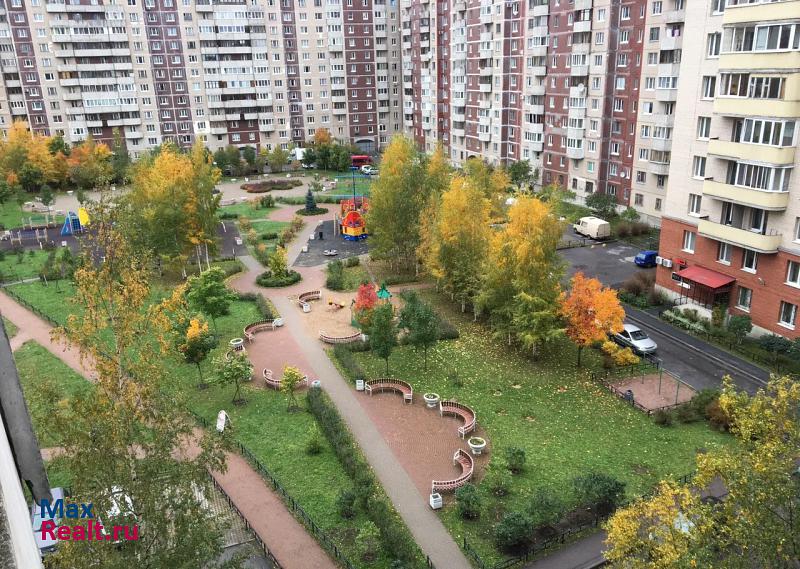 Камышовая улица, 38к2 Санкт-Петербург квартира