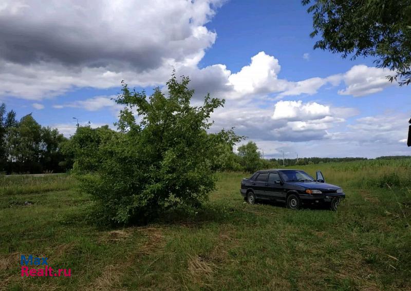 купить частный дом Ухолово Ряжский район, село Новое Еголдаево