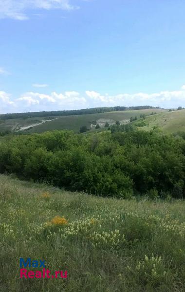 купить частный дом Подстепки село Новодевичье