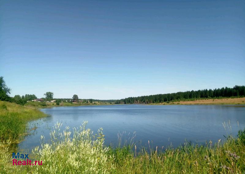 купить частный дом Березовка село, Лысьвенский городской округ, Новорождественское