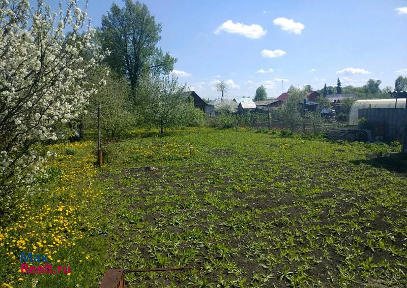 купить частный дом Александро-Невский поселок городского типа Александро-Невский, Пролетарский переулок, 6