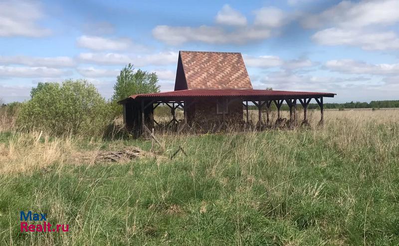 купить частный дом Палкино деревня Добычи