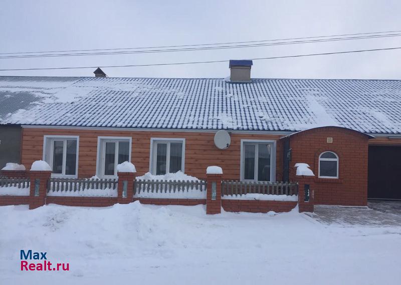 купить частный дом Мари-Турек поселок городского типа Мари-Турек, Юбилейная улица, 23