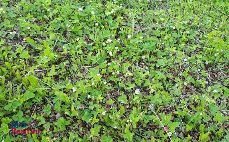 купить частный дом Нижняя Тавда село, Нижнетавдинский район, Носырево