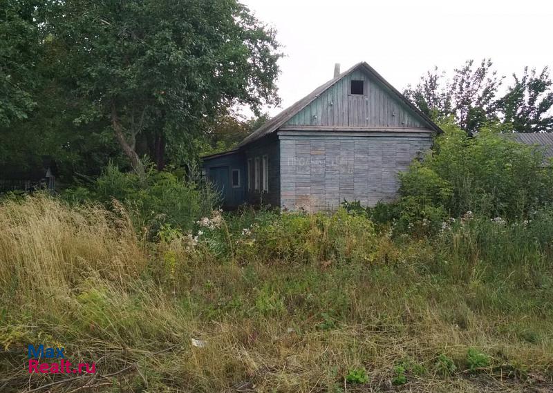 купить частный дом Эртиль поселок Мичуринский, улица Докучаева