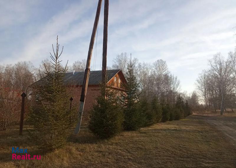 купить частный дом Яшкино деревня Новороманово, Молодёжная улица, 14