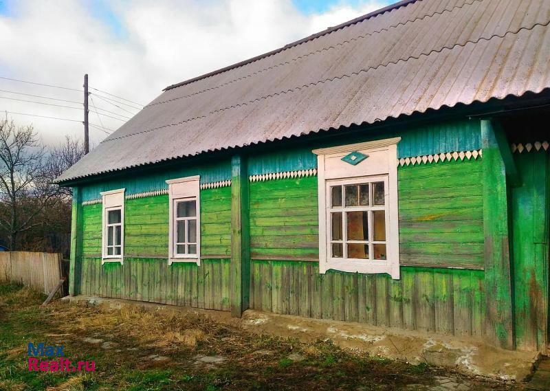 купить частный дом Суземка Селеченское сельское поселение, село Селечня