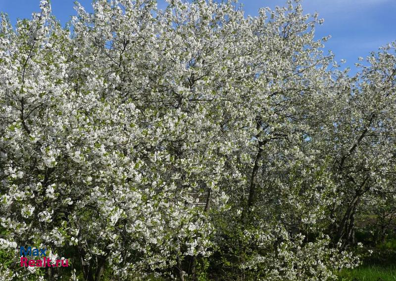 купить частный дом Бутурлино село Валгусы